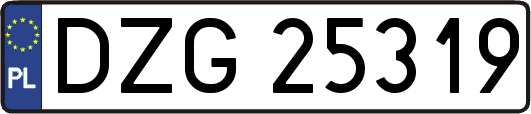 DZG25319