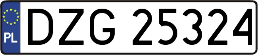 DZG25324