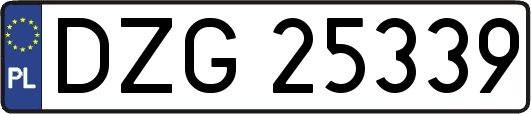 DZG25339