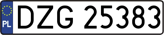 DZG25383