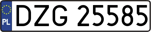 DZG25585
