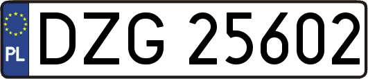 DZG25602