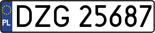 DZG25687