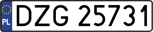 DZG25731