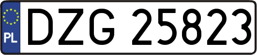 DZG25823