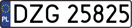 DZG25825