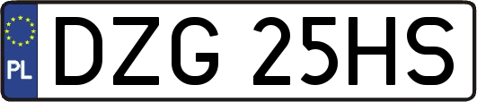 DZG25HS