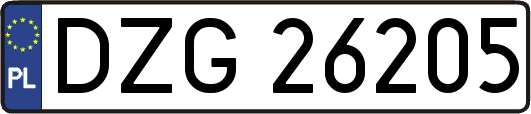 DZG26205