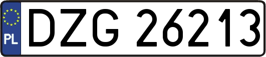 DZG26213