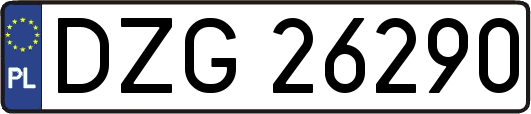 DZG26290