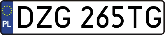 DZG265TG