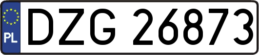 DZG26873