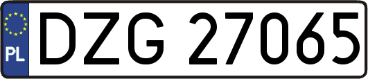 DZG27065