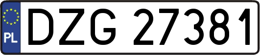 DZG27381