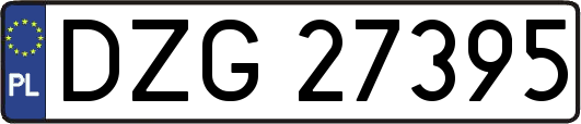 DZG27395