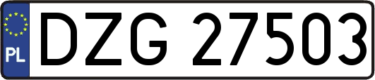 DZG27503