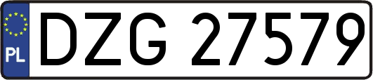 DZG27579