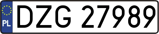 DZG27989