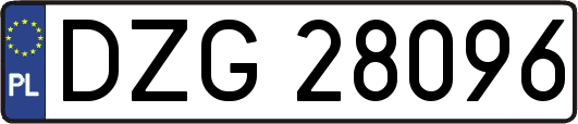 DZG28096