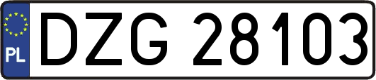 DZG28103