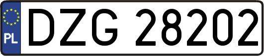 DZG28202