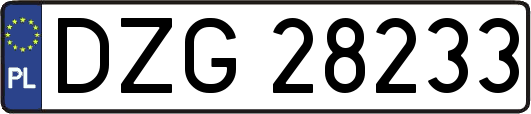 DZG28233