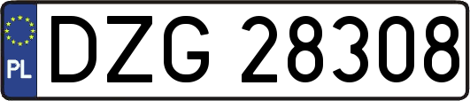 DZG28308