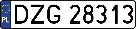 DZG28313