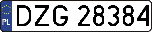 DZG28384