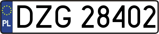 DZG28402