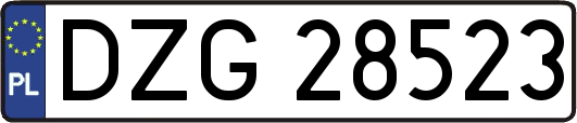 DZG28523