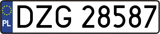 DZG28587