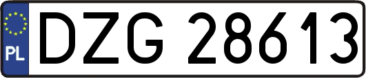 DZG28613