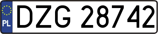 DZG28742