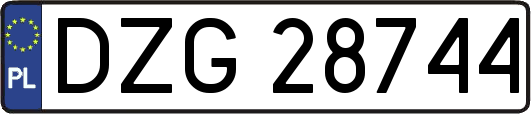 DZG28744