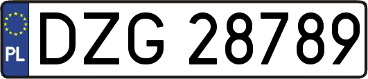DZG28789