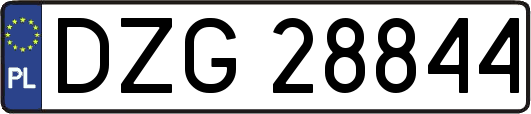 DZG28844