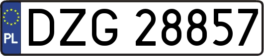 DZG28857