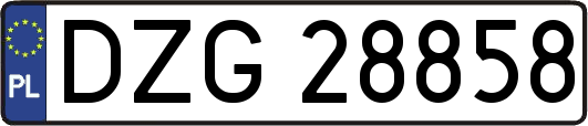 DZG28858