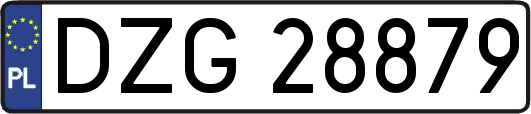 DZG28879