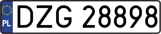 DZG28898
