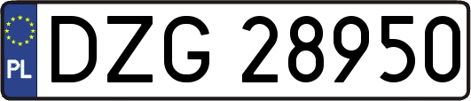 DZG28950