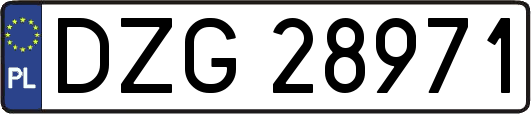 DZG28971