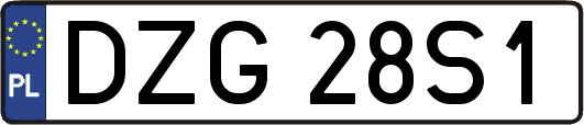 DZG28S1