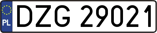 DZG29021