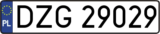 DZG29029