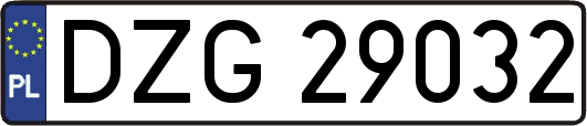 DZG29032