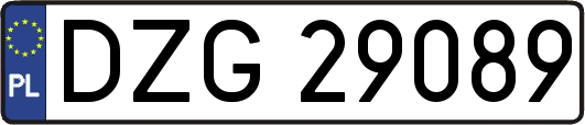 DZG29089
