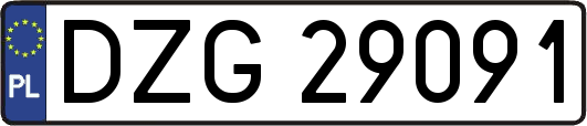 DZG29091