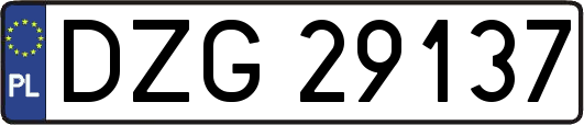 DZG29137